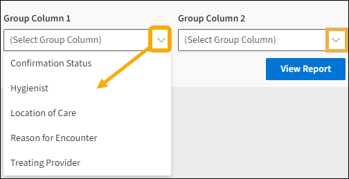 Report Group Columns 1 and 2 with yellow highlight boxes around the drop down menu arrows as well as a yellow highlight arrow pointing down to the Column 1 options.